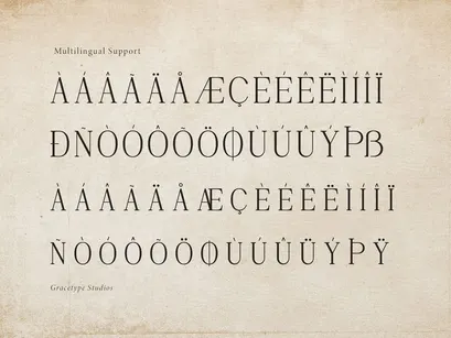 Rinovich | Display Serif Font