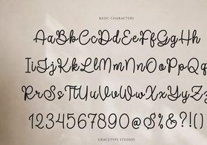 Joaguin Dignity | Monoline Script Font