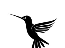 Black and white outline of a hummingbird.