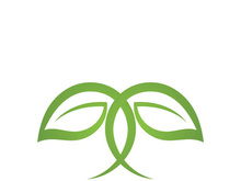 Logos of green Tree leaf ecology nature element vector