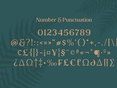 Collager - Modern Serif Family Font