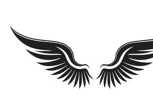 black bird wing logo vector