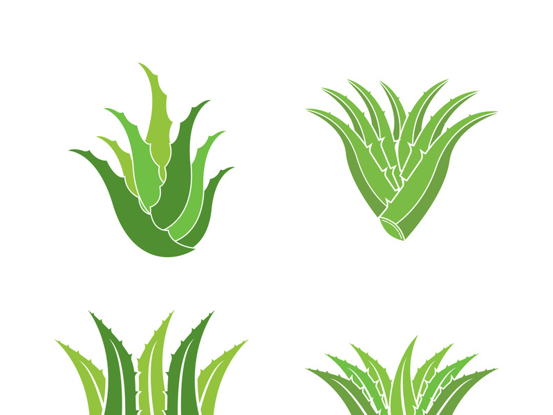 Aloe Vera logo icon design symbol beauty skin care