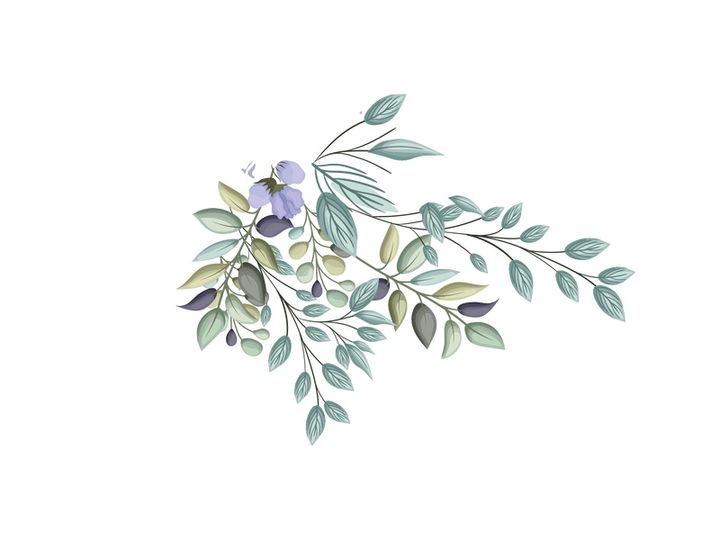 Vector Flower Watercolor Illustration
