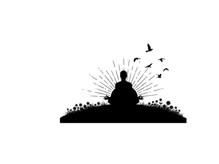 Serene silhouette of a person meditating in nature with birds flying free