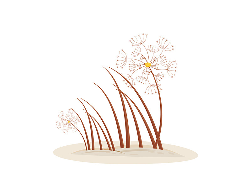 Dandelion cartoon vector illustration