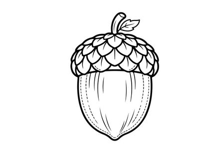 Hand-drawn acorn illustration for nature or autumn themes. Artistic sketch of a nut with detailed cap and leaf, suitable for educational or seasona...