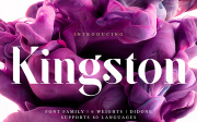 SF Kingston | Free Font
