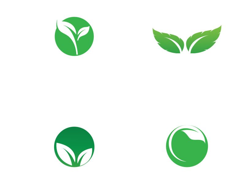 Natural green leaf logo