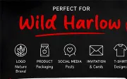 Wild Harlow