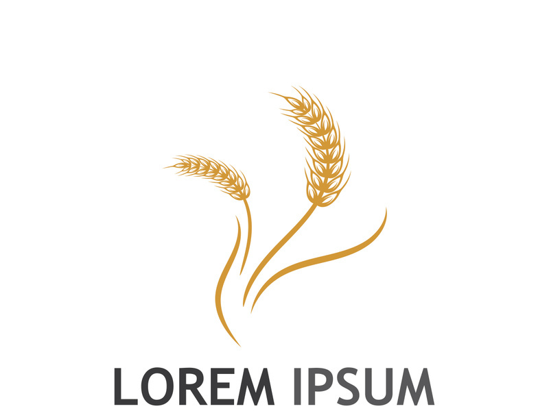 Organic wheat farm logo template.