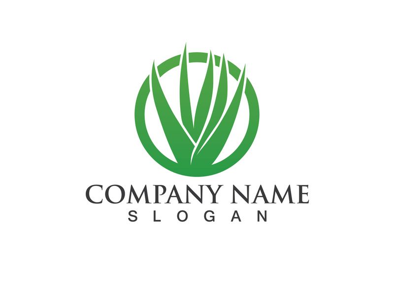 Aloe vera logo vector ilustration template
