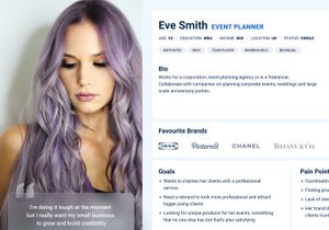 User Persona Template