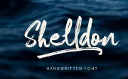 Shelldon Brush Script Font Demo (Personal Use)