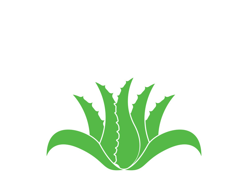 Aloe Vera logo icon design symbol beauty skin care