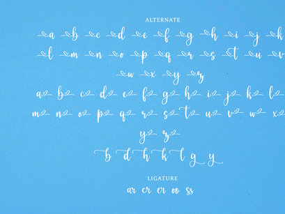 Berthalisa - Modern Calligraphy Font