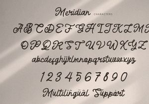 Meridian - Rough Script