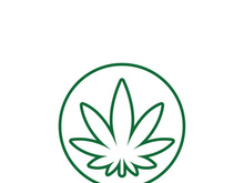 Canabis leaf logo and symbol vector