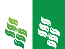 Green tree leaf nature logo images illustration design