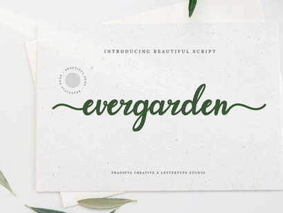 Evergarden Beautiful Script Font