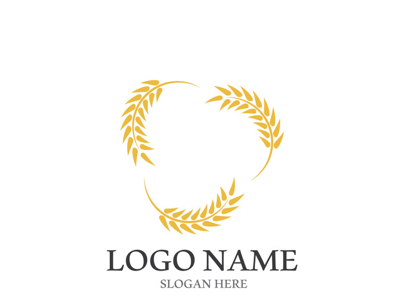 Wheat logo vector icon illustration design