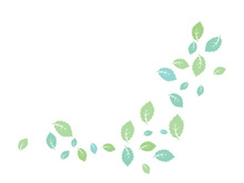 Mint Leaf icon template  illustration