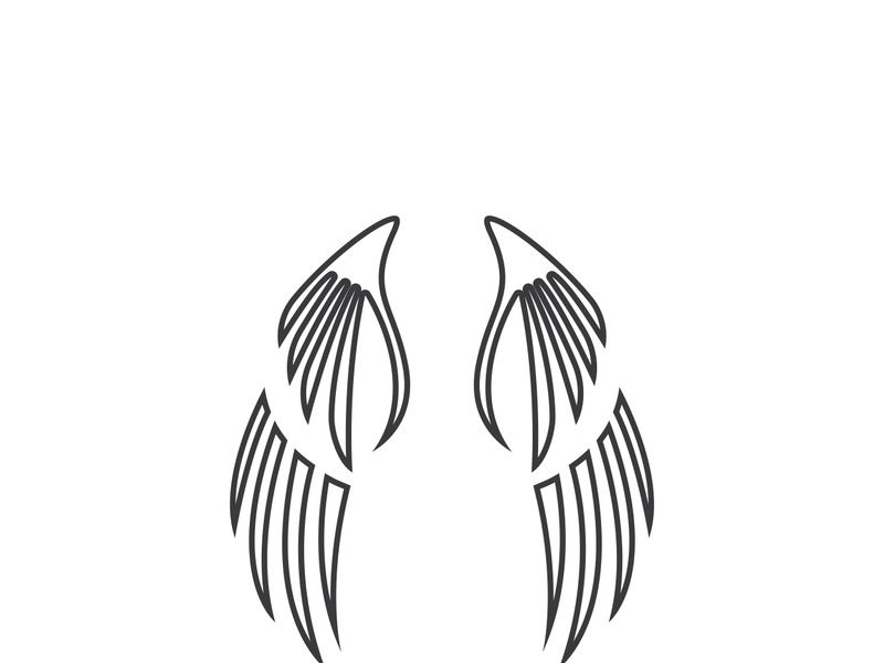 wing Logo Template vector illustration design