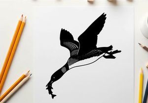 Silhouette of a canada goose in flight with outstretched wings