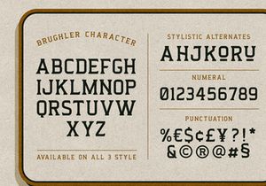 Brughler - Vintage Serif Display