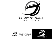 Wing Bird Logo Vector Icon