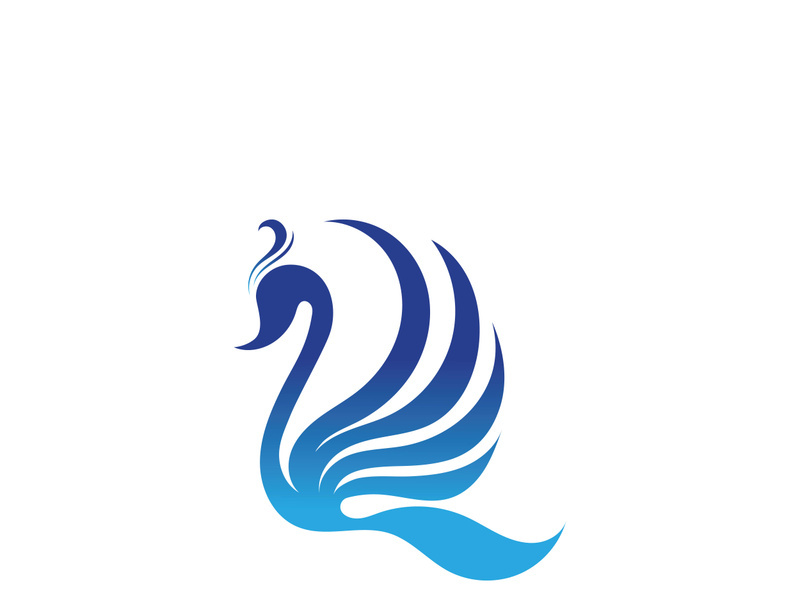 Swan logo Premium and symbol Vector