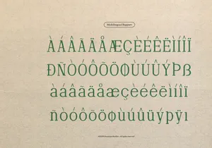 Defilao Vertes | New Vintage Serif