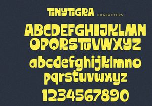 TinyTigra - Display Font