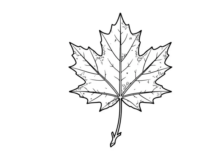 Close-up of a detailed maple leaf. Natural autumn foliage in vibrant colors.