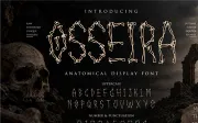 Osseira - Anatomical Display Font
