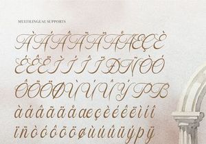 Sofiya Wiyona | Classic Elegant Script