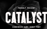 Catalyst - Condensed Sans Serif