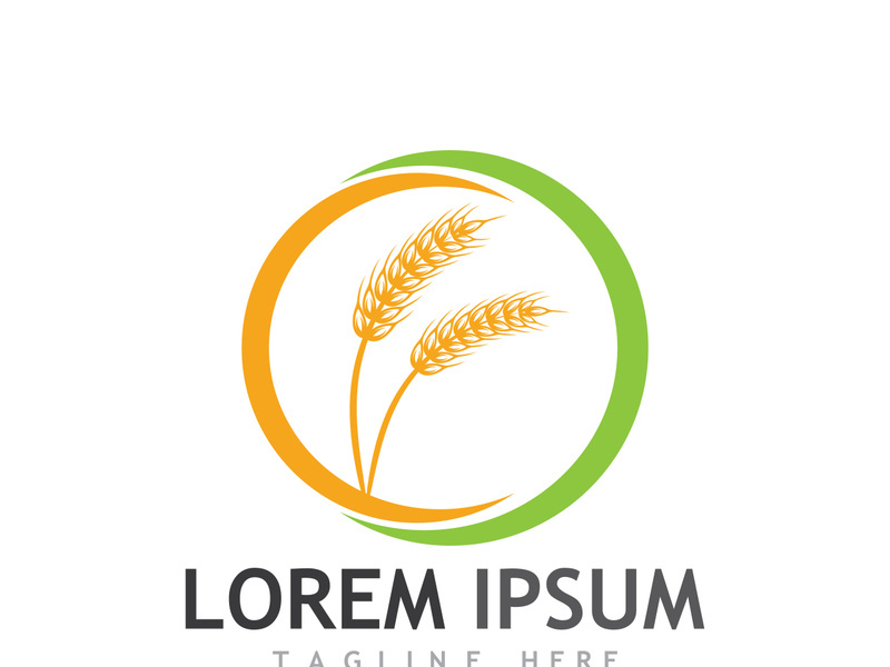 Organic wheat farm logo template.