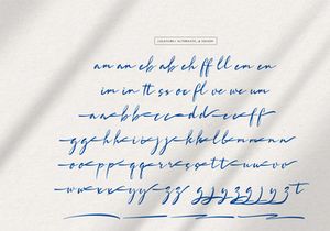 Lowreika Augusta | Classic Signature Font