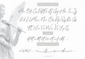 Black Angel Natural Signature Script