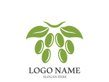 olive icon vector illustration design template