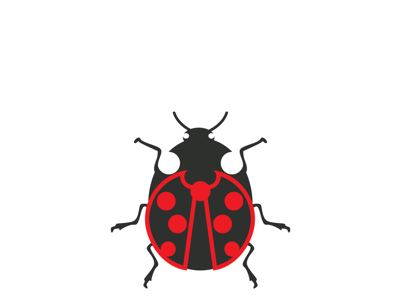 ladybird animal  vector logo symbol icon