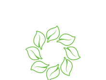 leaf logo green ecology nature element vector image