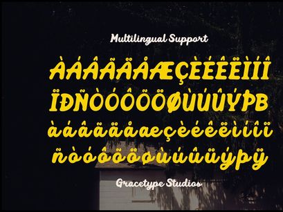 Mellow Script | Vintage Bold Script