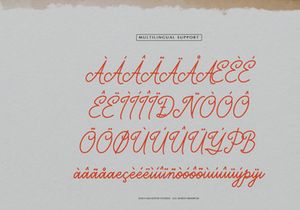 Marylona | Monoline Script font