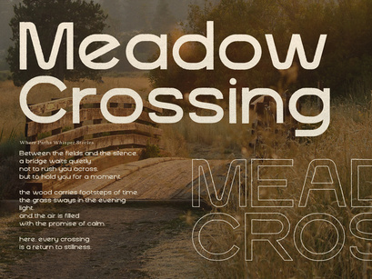 Arche Sans | Vintage Sans Serif