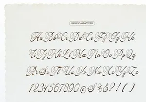 Pitholica Delicate | Classic Elegant Script