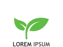 Natural green leaf logo design.