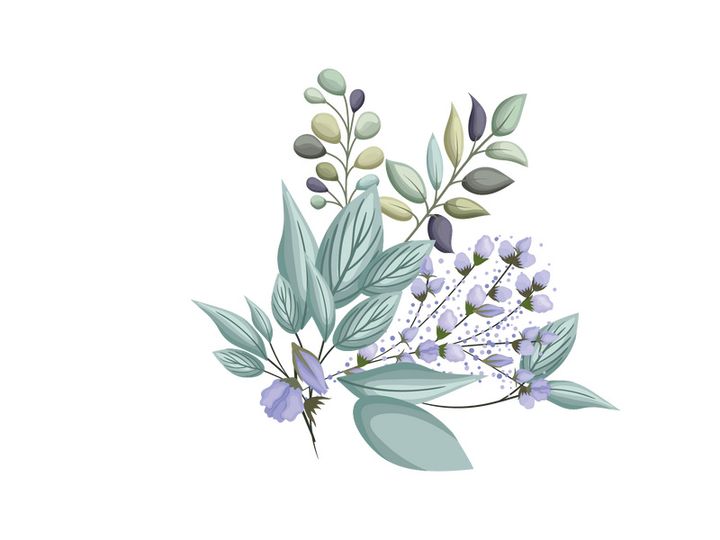 Vector Flower Watercolor Illustration