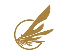 Wings logo